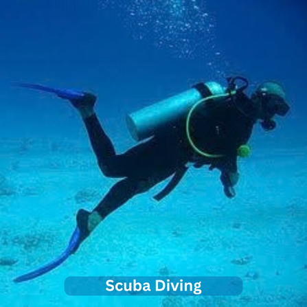 scuba diving IN ANDAMAN