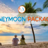 HONEYMOON-BNR.webp